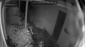 Caméra IP - Neuseeland