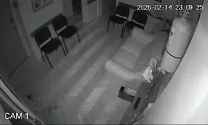 Caméra IP - Argentina