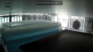 Caméra IP - Vue en direct