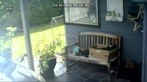 Caméra IP - Nueva Zelanda