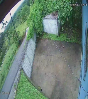 Caméra IP - Costa Rica
