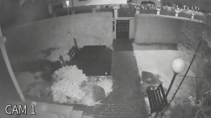 Caméra IP - Polonia