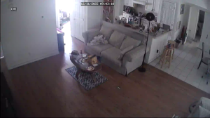 Caméra IP - États-Unis d'Amérique