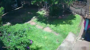 Caméra IP - Paraguay