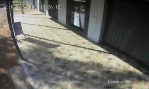 Caméra IP - Paraguay