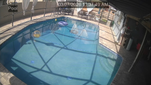 Caméra IP - Estados Unidos