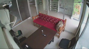 Caméra IP - Türkiye