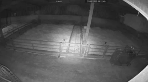 Caméra IP - Ireland