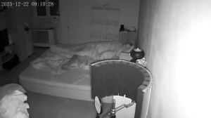 Caméra IP - Hongrie