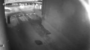 Caméra IP - Russian Federation