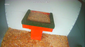 Caméra IP - United Kingdom