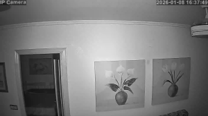 Caméra IP - Spanien