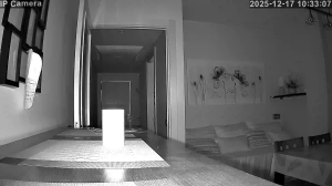 Caméra IP - Espagne