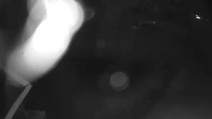 Caméra IP - Pays-Bas