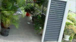 Caméra IP - Australia