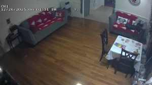 Caméra IP - United States of America