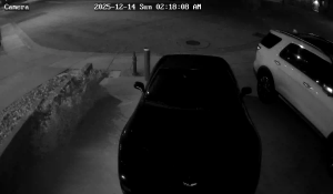 Caméra IP - United States of America