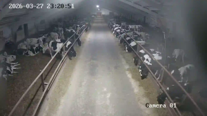 Caméra IP - Biélorussie