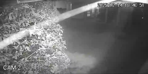 Caméra IP - Russian Federation