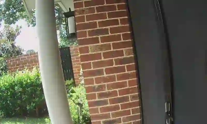 Caméra IP - Australie