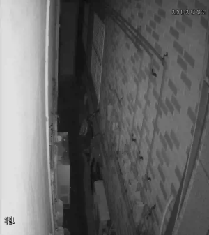 Caméra IP - República de Corea