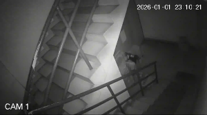 Caméra IP - Malaysia