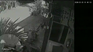 Caméra IP - Thailand