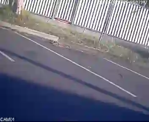 Caméra IP - Australien