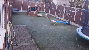 Caméra IP - Royaume-Uni