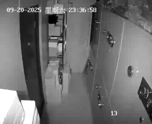Caméra IP - China