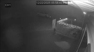 Caméra IP - United States of America