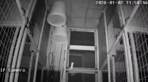 Caméra IP - Griechenland