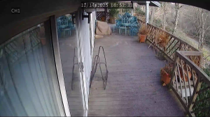 Caméra IP - United States of America