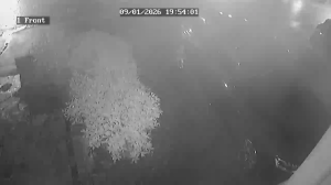 Caméra IP - United Kingdom