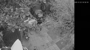 Caméra IP - Paraguay