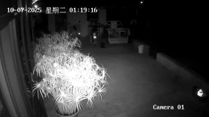 Caméra IP - China