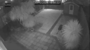 Caméra IP - Reino Unido