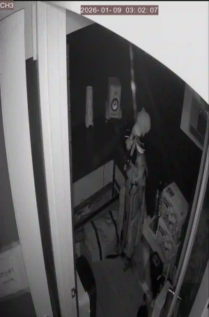 Caméra IP - South Korea