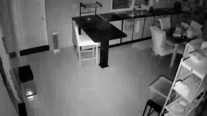 Caméra IP - Émirats Arabes Unis