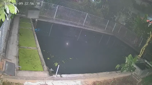 Caméra IP - Vietnam