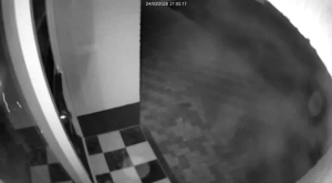 Caméra IP - Pays-Bas