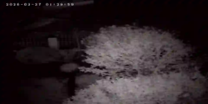 Caméra IP - Niederlande