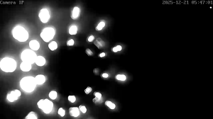 Caméra IP - Belgien