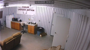 Caméra IP - Vereinigte Staaten von Amerika