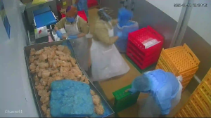 Caméra IP - Malaysia