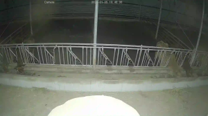 Caméra IP - Südkorea