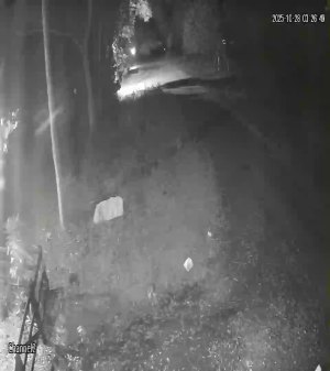 Caméra IP - Messico