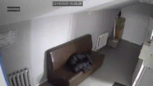 Caméra IP - Russische Föderation