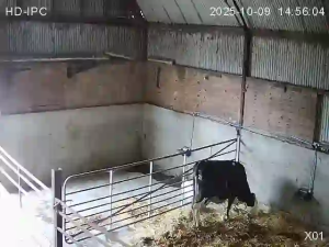 Caméra IP - Irland