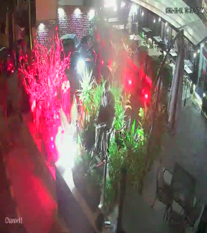 Caméra IP - Libanon